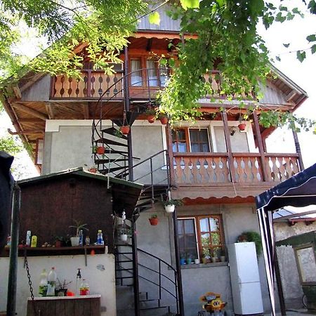 Готель Casa Oana Суліна Екстер'єр фото