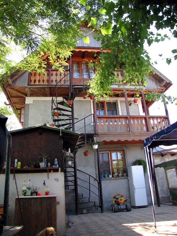 Готель Casa Oana Суліна Екстер'єр фото